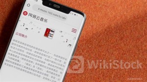 BABA-SW Offloads 3.9M Shrs of CLOUD MUSIC to Cash in $350M+