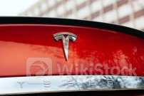 As Tesla Surges 44% In 10 Sessions, Bearish Analyst Smells Stock Manipulation: 'They Keep Buying Puts To