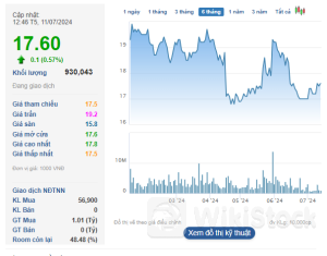 Lần đầu tiên sau khi tái cấu trúc, công ty phân phối ô tô lớn nhất Việt Nam xuất hiện cổ đông lớn, giá trị nắm giữ gần 800 tỷ đồng