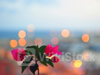 首席技术官透露重磅利好 英特尔(INTC.US)涨近3%