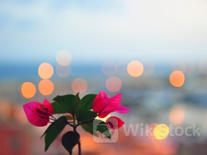 首席技术官透露重磅利好 英特尔(INTC.US)涨近3%