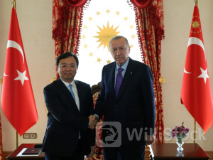 Turkey puts its best foot forward to Chinese investors