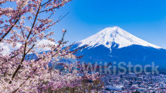 分析｜日本為何疑趁美CPI數據公布後干預滙市？