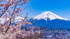 分析｜日本為何疑趁美CPI數據公布後干預滙市？