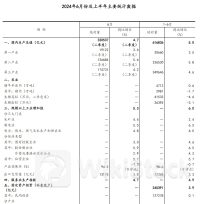 国家统计局：2024上半年GDP同比增长5.0%