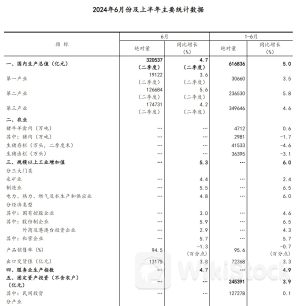 国家统计局：2024上半年GDP同比增长5.0%