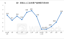 2024年6月份能源生产情况
