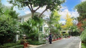 ＜Research＞Citi's Ratings, TPs on CN Homebuilders (Table)