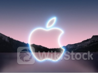 苹果(AAPL.US)上财年在印销售额激增33% 创历史新高