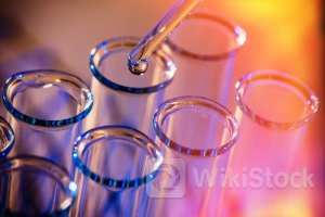 What Happened With Autonomix Medical Stock Today？ - Autonomix Medical (NASDAQ:AMIX)