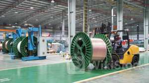 HNX hủy đăng ký giao dịch với 2 mã chứng khoán