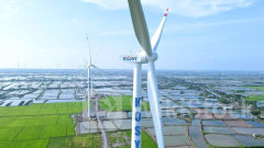 Xử phạt 1,2 tỷ đồng với CTCP Đầu tư Mavico - cổ đông của Kosy vì giao dịch cổ phiếu không báo cáo