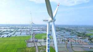 Xử phạt 1,2 tỷ đồng với CTCP Đầu tư Mavico - cổ đông của Kosy vì giao dịch cổ phiếu không báo cáo