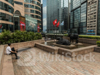 Hong Kong stocks fall in open