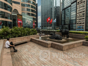 Hong Kong stocks fall in open