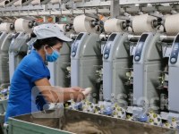 Chủ tịch EuroCham: DN châu Âu tin tưởng vào tăng trưởng dài hạn của Việt Nam