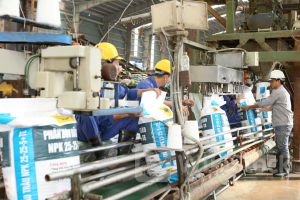 Bức tranh kinh tế sáng màu hơn