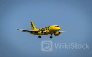 Spirit Airlines Stock Falls On Soft Preliminary Q2 Revenue Estimates - Spirit Airlines (NYSE:SAVE)