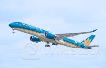 HVN: Vì sao cổ phiếu HVN của Vietnam Airlines bị bán tháo phiên 16/7？