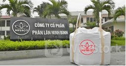 NFC: Lãi lớn hai quý đầu năm 2024