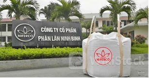 NFC: Lãi lớn hai quý đầu năm 2024