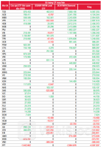 Các quỹ ETF NAV hơn 22,000 tỷ đồng sẽ mua mạnh nhóm ngân hàng sau kết quả review？