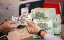 USD trên thị trường tự do lao dốc, rời xa mốc 26.000 đồng do nhu cầu ngoại tệ giảm