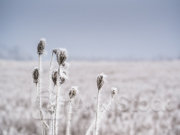 美股异动 | 三季度营收指引不及分析师预期 阿斯麦(ASML.US)跌近11%