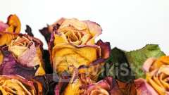 1-800-Flowers Analyst Warns Bloomberg Debit Card Data Shows Unfavorable Trends - 1-800-Flowers.com (NASDA