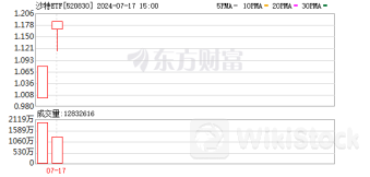 沙特ETF连续两日被“买爆” “万亿资本支出周期”驱动中东股市