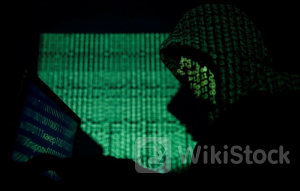 7月ロイター企業調査:サイバー攻撃15%が被害、取引先も含めると24%