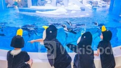 TRIP.COM-S (09961.HK): Searches Related to Getaways From Heat in CN Grow 55% MoM Since Jul