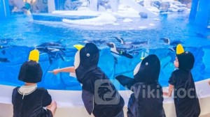 TRIP.COM-S (09961.HK): Searches Related to Getaways From Heat in CN Grow 55% MoM Since Jul