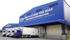 VHC: Tăng trưởng doanh thu 23% lên 6 nghìn tỷ nhờ sản lượng phục hồi