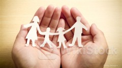 ＜Research＞CICC Lists YoY Change Forecasts on Interim NP, NBV of CN Insurers (Table)