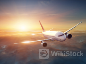 股价创历史新低！精神航空(SAVE.US)下调Q2业绩指引 分析师警告公司或面临“重组或破产风险”