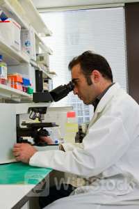 Alterity Up on Interim Data From Advance MSA Study - Compugen (NASDAQ:CGEN), Alterity Therapeutics (NASDA