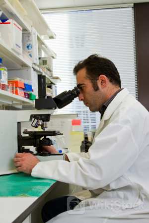 Alterity Up on Interim Data From Advance MSA Study - Compugen (NASDAQ:CGEN), Alterity Therapeutics (NASDA