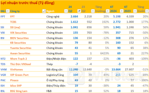 Cập nhật BCTC quý 2/2024 sáng ngày 19/7: VHM, NT2, SSI... cùng loạt DN lớn công bố, các khoản lãi nghìn tỷ bắt đầu xuất hiện