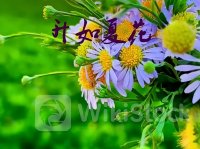 07.19股市早8点丨龙年A股老态龙钟