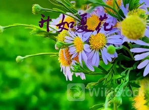 07.19股市早8点丨龙年A股老态龙钟