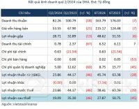 Không được hoàn nhập dự phòng giảm giá chứng khoán, DHA giảm mạnh lãi ròng quý 2
