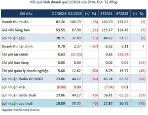 Không được hoàn nhập dự phòng giảm giá chứng khoán, DHA giảm mạnh lãi ròng quý 2
