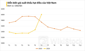 Loại hạt tỷ đô giúp Việt Nam đứng đầu thế giới về xuất khẩu: Mỹ chốt đơn nửa tỷ USD, giá tăng vọt trong tháng 6