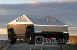 Tesla Cybertruck Faces An Unexpected Challenge As Raccoons Attempt To Break Into The Car - Tesla (NASDAQ: