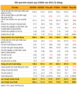 Chứng khoán SHS có lãi 354 tỷ đồng quý 2, thắng lớn với các mã FRT, SHB, MWG, HPG