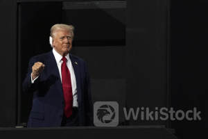 Stocks that make up the Trump trade