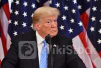 Trump's Niece Says 'Nobody Will Be Safe' In Potential Second Term For Ex-President: 'That Is Explicitly L