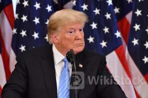 Trump's Niece Says 'Nobody Will Be Safe' In Potential Second Term For Ex-President: 'That Is Explicitly L