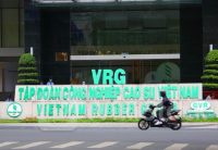 Tập đoàn Cao su (GVR) ước lãi trước thuế quý 2 tăng 27%